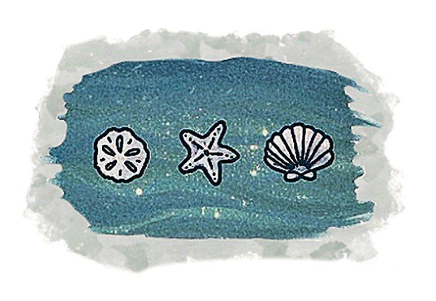OCD - Seashells Sticker