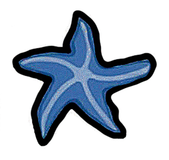 Conscious - Starfish Sticker