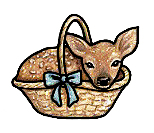 Clingy - Fawn in Basket Sticker