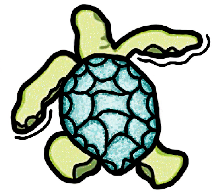 Push - Turtle Sticker
