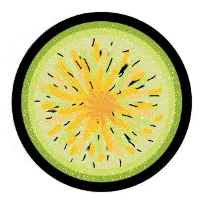 Potential - Kiwi Sticker