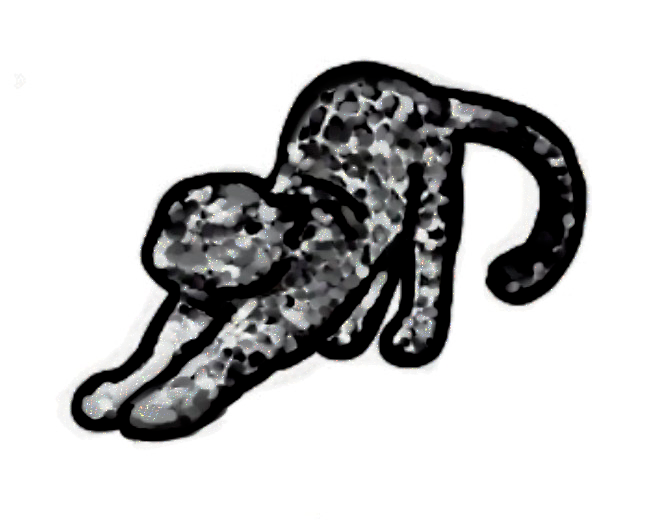 Prestige - Cheetah Sticker