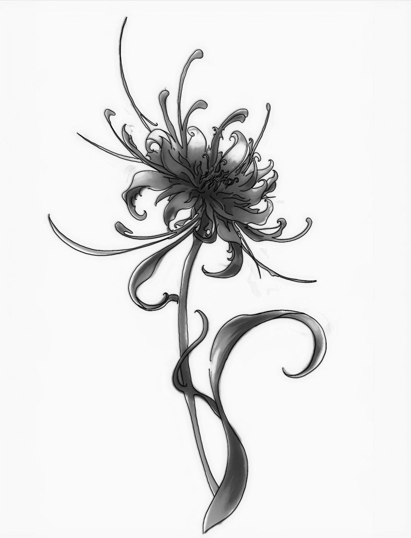 Spider Lily Flower - Temporary Tattoo