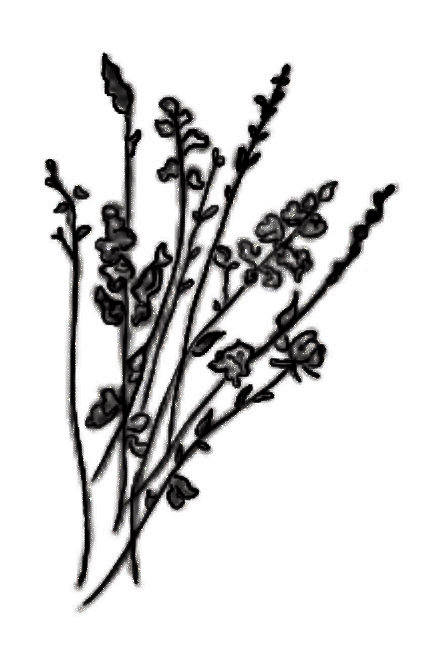 Fragile - Flower Stems Sticker