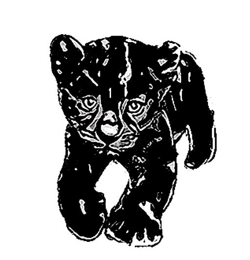 Courage - Baby Panther Sticker