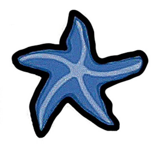 Conscious - Starfish Sticker