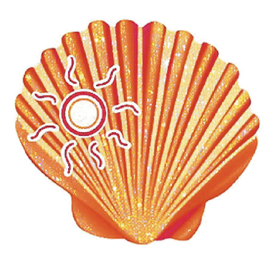 Warmth - Sunny Seashell Sticker