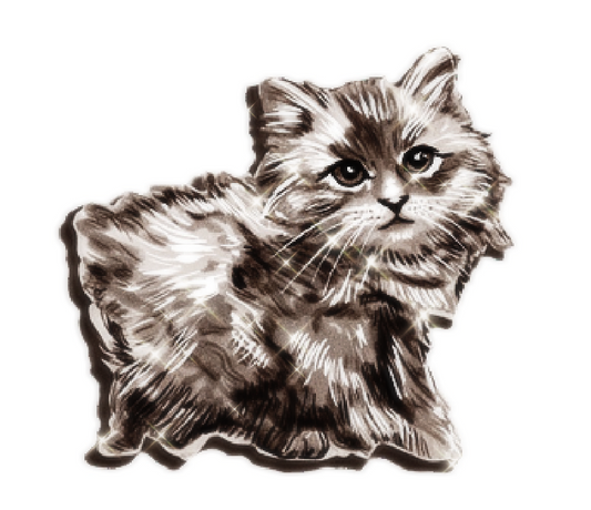 Don’t Get Too Close - Cat Sticker