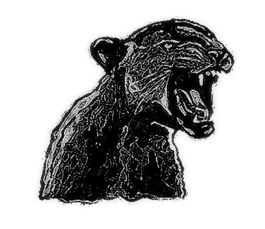 Fierce - Panther Sticker