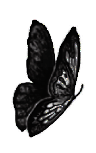 Drifting - Butterfly Sticker
