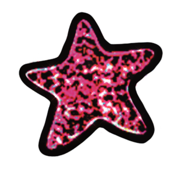 Performer - Starfish Sticker