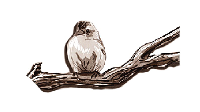 Reliability - Bird on Branch Sticker
