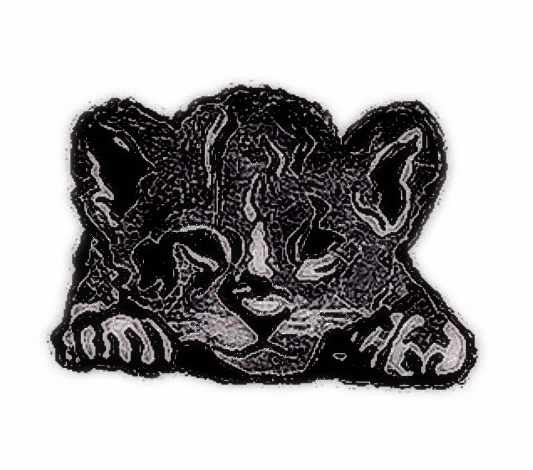Curious - Baby Panther Sticker
