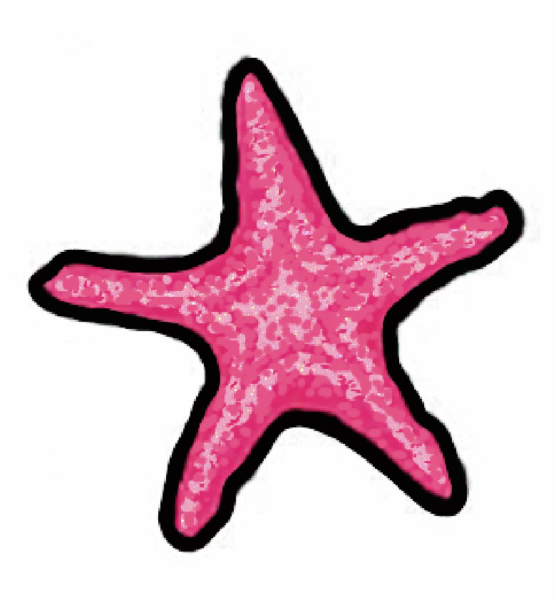 Whimsy - Starfish Sticker