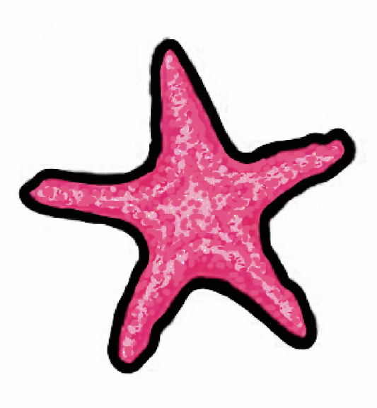 Whimsy - Starfish Sticker