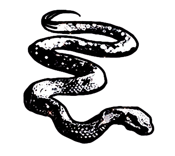 Awareness - Snake Sticker