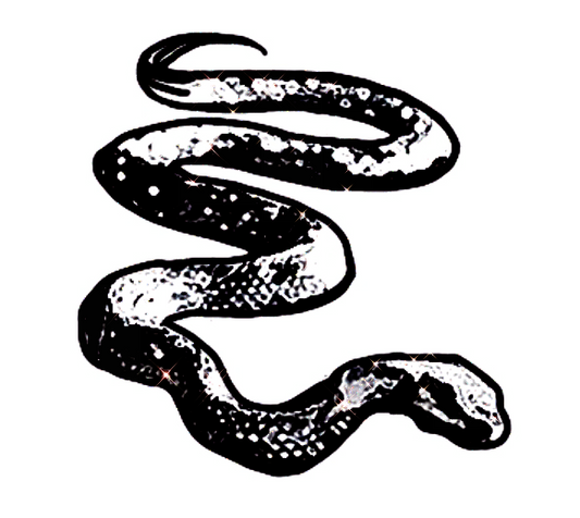 Awareness - Snake Sticker