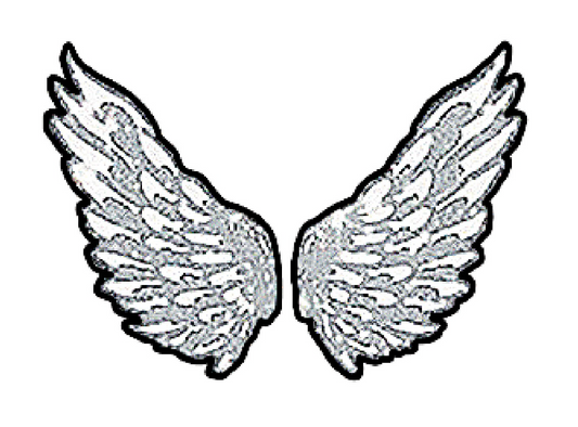 Warrior - Wings Sticker