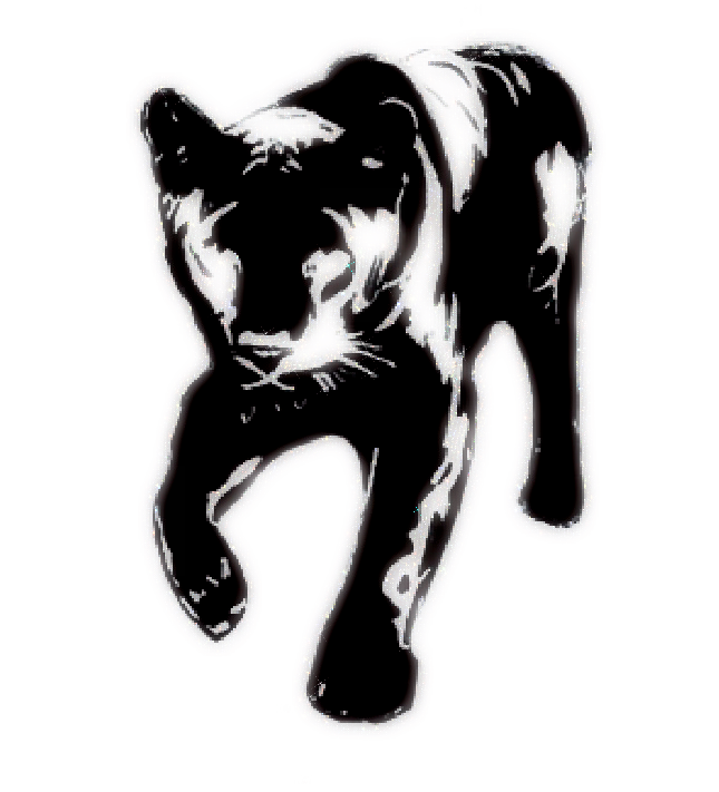 Risk - Panther Sticker