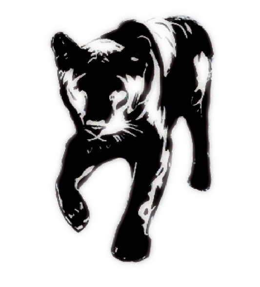 Risk - Panther Sticker