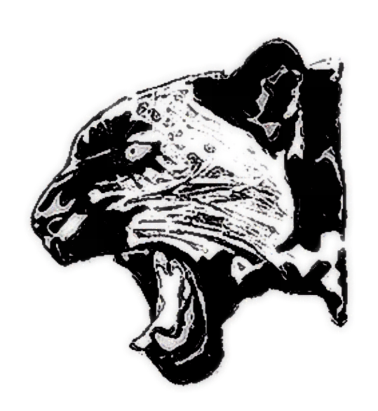 Justice - Panther Sticker