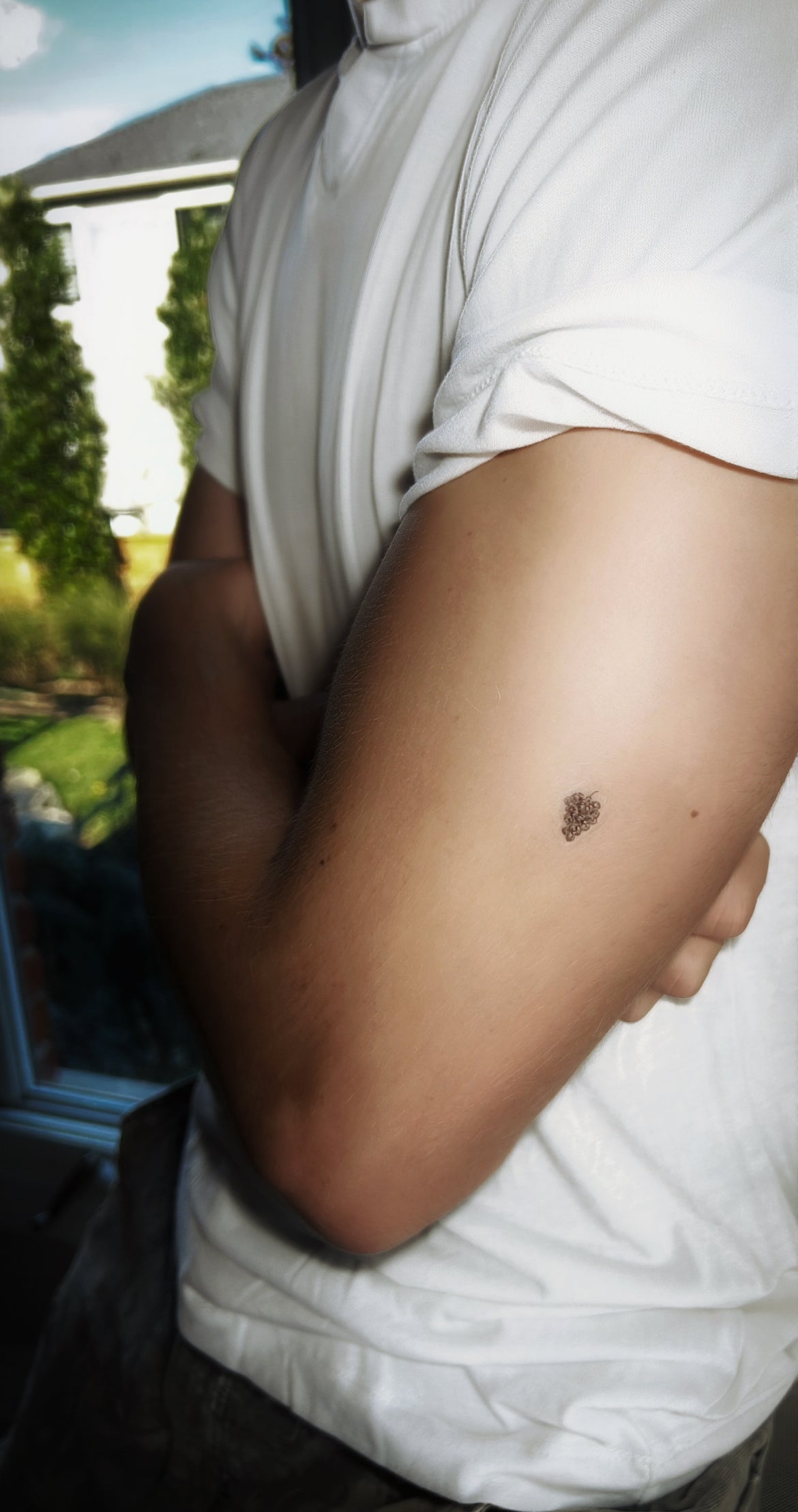 Gym Reminders - Temporary Tattoos