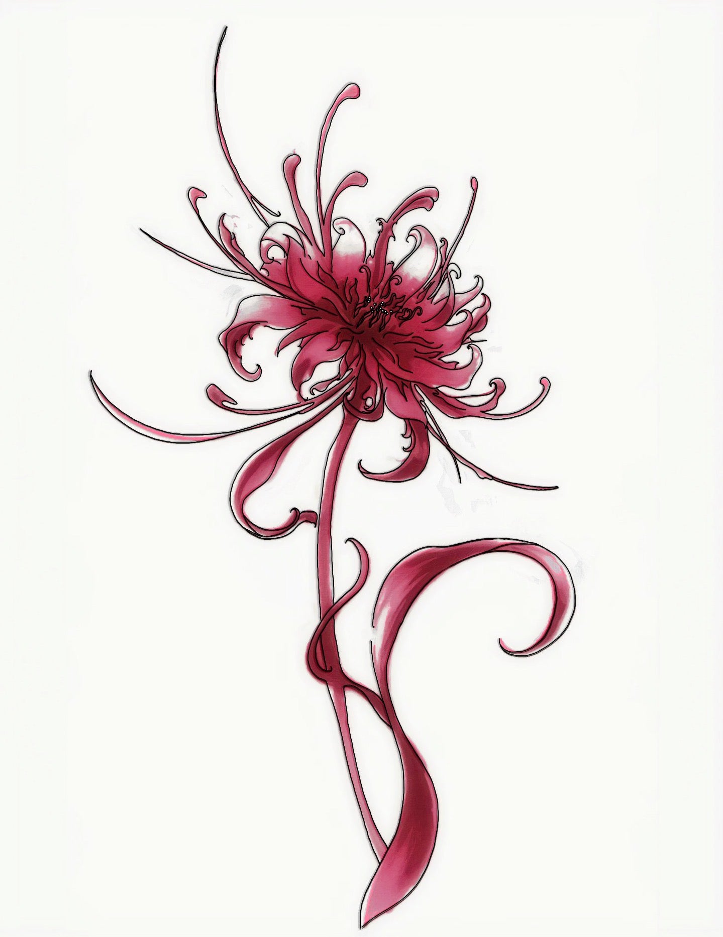 Spider Lily Flower - Temporary Tattoo